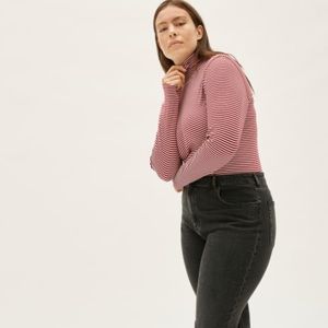 The Everlane Pima Micro-Rib Turtleneck
